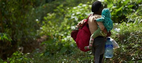 Casi 50 000 Migrantes Llegaron A Panamá Por La Selva Del Darién En Lo