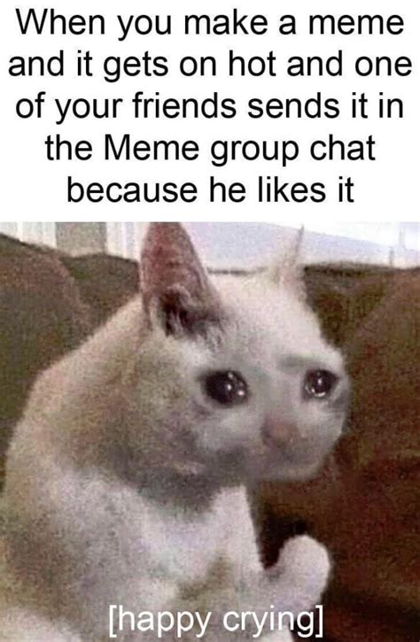 Crying Cat Memes Is The New Craze Among Catizens 30 Crying Cat Memes