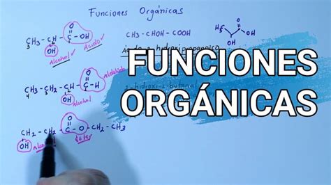 Funciones Organicas Timeline Timetoast Timelines