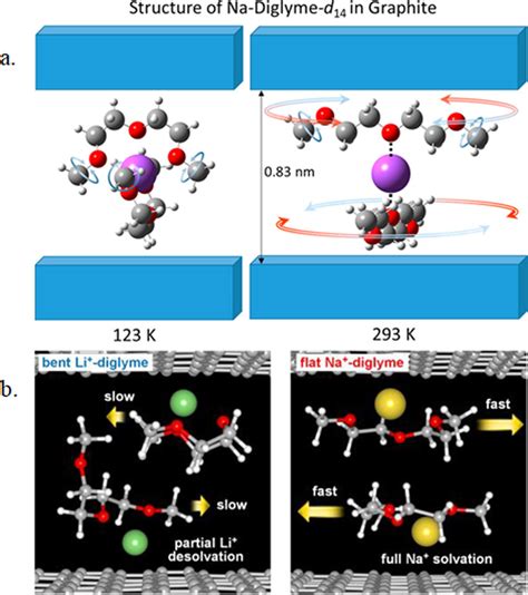 (a) Transition-state structures for Li+–diglyme (left) and Na+–diglyme ...