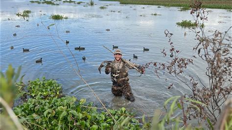 South Louisiana Duck Hunting YouTube