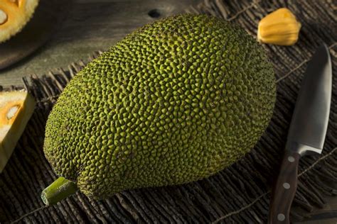 Jackfruit The 100 Pound Fruit Thats Worth The Heavy Lifting