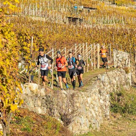 Valtellina Wine Trail Valtellina