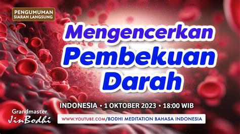 Mencegah Dan Membersihkan Gumpalan Darah Memperlancar Aliran Darah