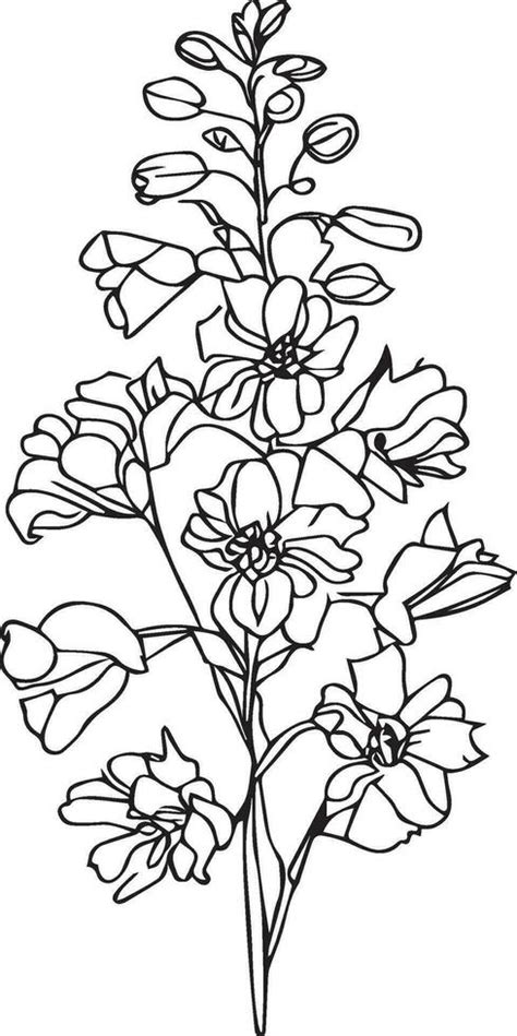 July Birth Flower Larkspur Tattoo Best Flower Site