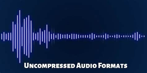 Explained: Different Types of Audio File Formats - TechPP