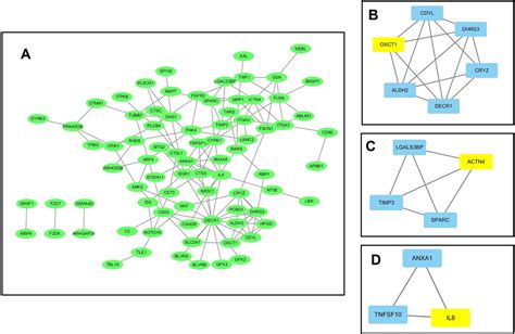 Comprehensive Analysis Of Metastasis Related Genes Reveals A Gene