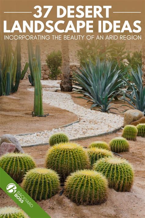 The Cover Of 37 Desert Landscape Ideas Incorporating The Beauty Of An Arid Region With Cacti