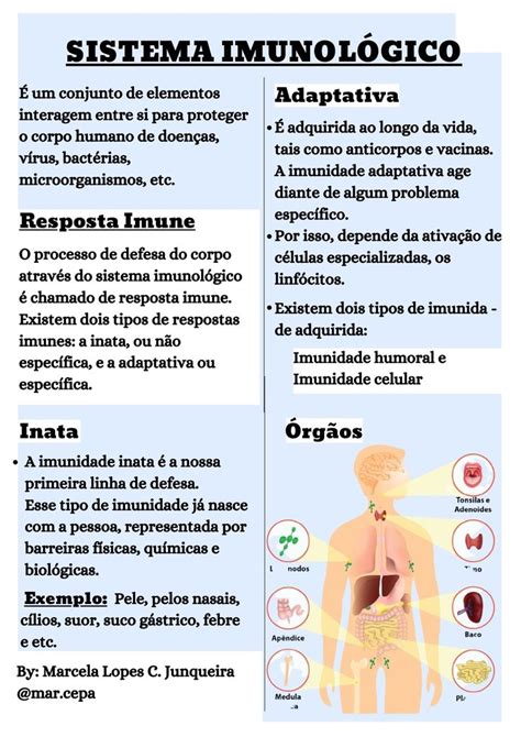 Sistema Imunológico Sistema imunológico Material de enfermagem