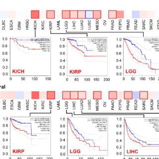 Correlation Analysis Between DLGAP5 Expression And Survival Prognosis