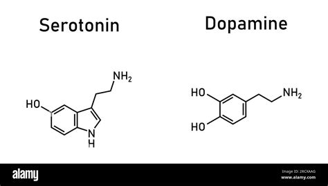 Dopamine And Serotonin Molecular Structure Scientific Vector