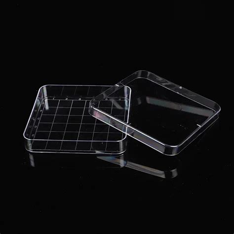 Disposable Ps Square Petri Dish With Grid China Cell Culture And