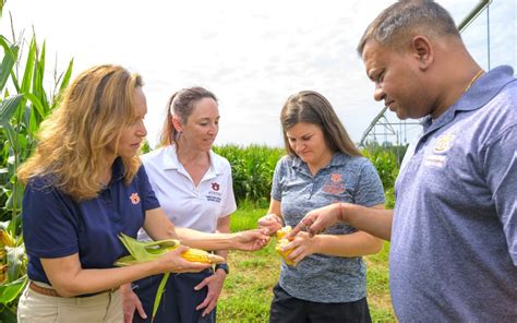 Auburn University College Of Agriculture This Is The Work That Makes