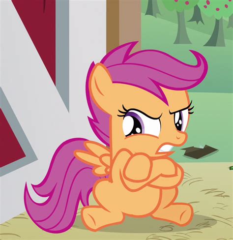 Angry Scootaloo Mlp Blank Template Imgflip