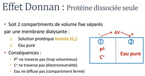 Equilibre De Donnan Et Membrane Dialysante UE3 Biophysique