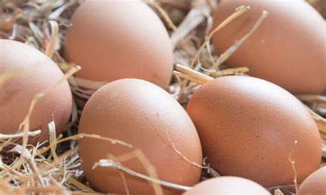 Uova Da Galline Allevate A Terra Mangialocale