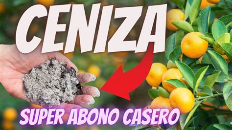 CENIZA Abono para Floración y Crecimiento Fertilizante Casero