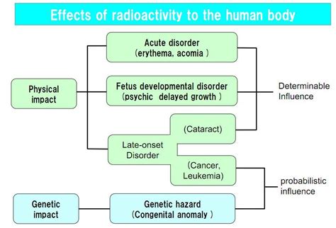 Really: nuclear radiation effects