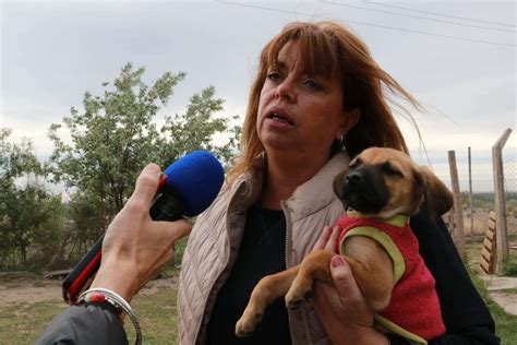 La Municipalidad de Neuquén alcanzó las 50 mil castraciones y este