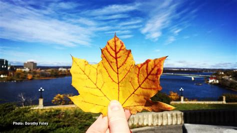 Fall Colours 2016 | CTV Ottawa News