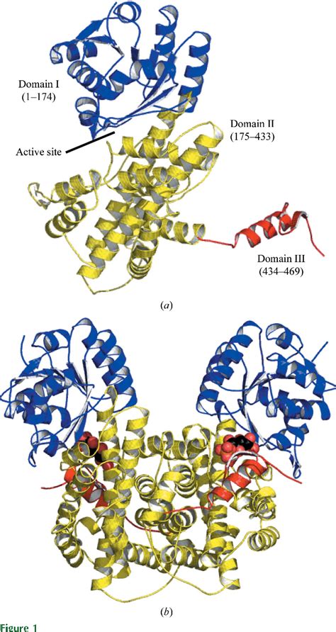 Figure From Structural Biology And Crystallization Communications