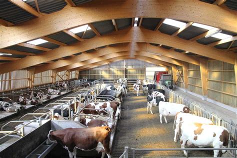 Stabulation Vaches Laitieres Portes Ouvertes Dans Les Vosges