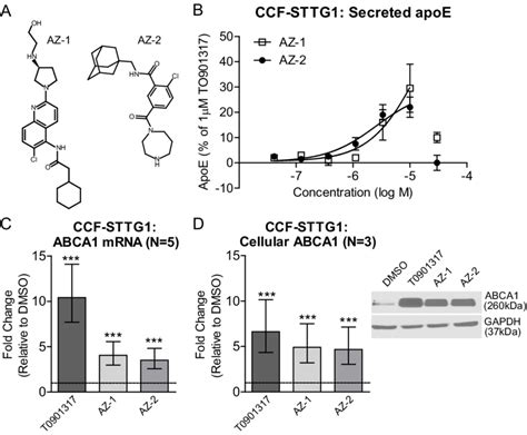 Compounds Az 1 And Az 2 Modulate Abca1 And Apoe In Ccf Sttg1 Cells A Download Scientific