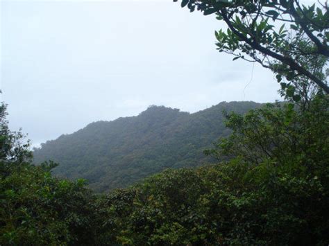 Chiriqui Los Naranjos