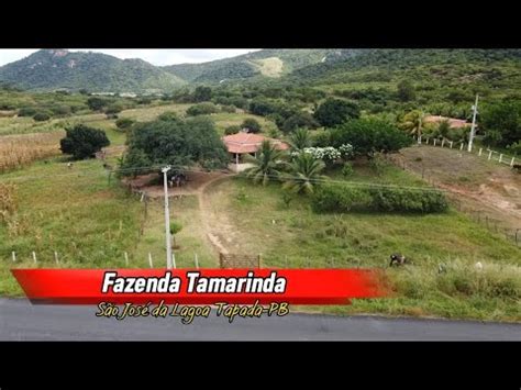 Fazenda Tamarinda S O Jos Da Lagoa Tapada Pb Youtube