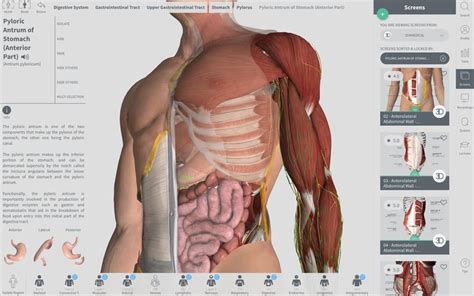 Complete Anatomy App Reviews Features Pricing And Download Alternativeto