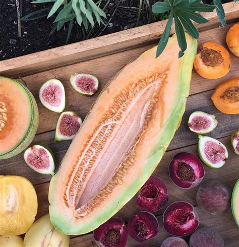 25 Heirloom Sweet Banana Melon Seeds