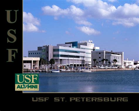 Download University Of South Florida Campus Alumni Wallpaper