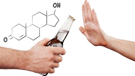 How Alcohol Impacts Testosterone Synthesis – Simply Supplements