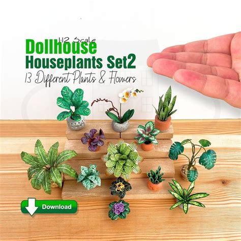 Plantes Miniatures Pour Maison De Poup E Au Diff Rentes