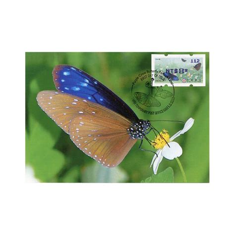 TAIWAN 2023 Purple Crow Butterfly TAIPEI 2023 39th Asian Stamp