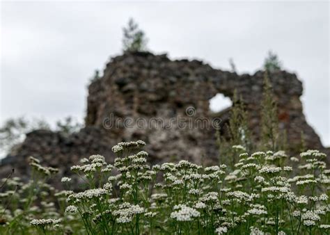 Old Medieval Stone Castle Ruins Ergeme Castle Ruins Stock Image