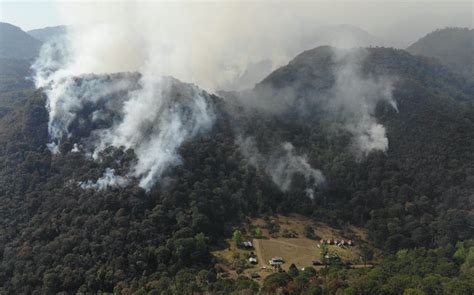 Incendio Arrasa Con 440 Hectáreas De Reserva Ecológica El Cielo En