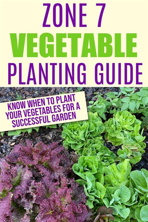 This Zone 7 Vegetable Planting Chart Can Be Easily Adapted To Other Gardening Zones All Too