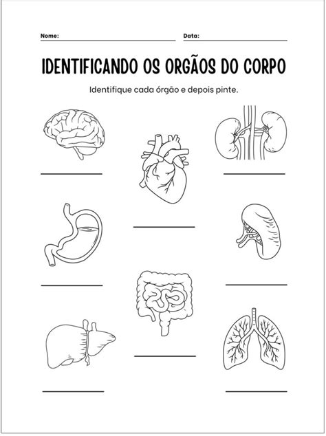 Atividades sobre o Corpo Humano Ideias divertidas e didáticas PDF