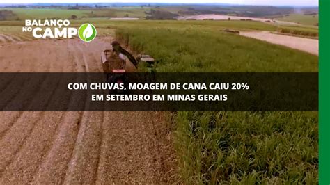 MOAGEM DA CANA Rede Mais