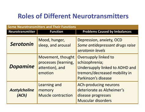 Common Neurotransmitters Chart A Visual Reference Of Charts Chart Master