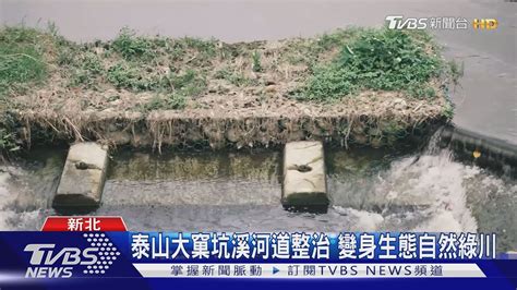 泰山大窠坑溪河道整治 變身生態自然綠川｜tvbs新聞 Youtube