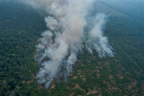 Incendios En La Amazonia Brasileña Se Reducen El Mes De Septiembre Independent Español