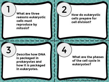 Mitosis And Meiosis Task Cards By Science Interactive World Tpt