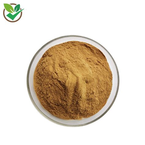 High Quality Dong Quai Powder Angelica Sinensis Extract China Dong