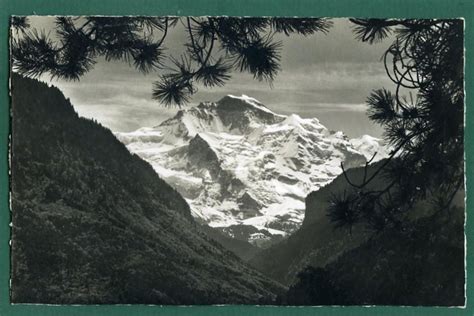 Interlaken Jungfrau Kaufen Auf Ricardo