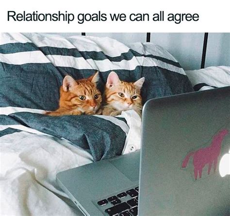 32 Relatable Relationship Memes That Are Funny Enough To Freshen Up Your Day Zestvine 2025