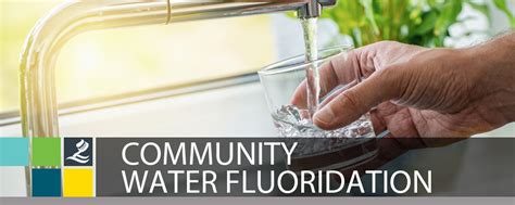 Feature Story Community Water Fluoridation The Windsor Essex County