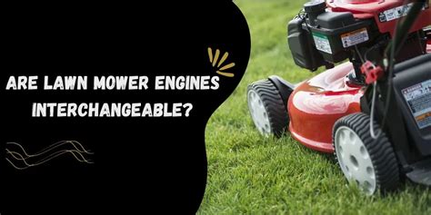 Are Lawn Mower Engines Interchangeable? (An Accurate Guide)