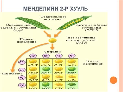 Biol l 3
